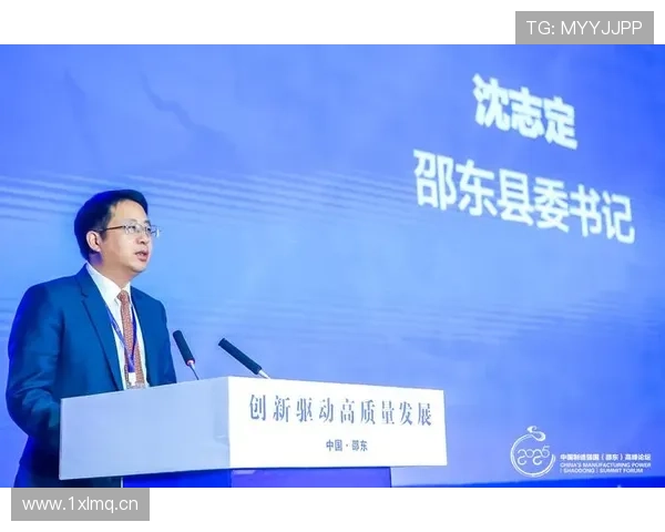 邵东企业家助力地方经济发展，创新驱动产业升级实现跨越式增长